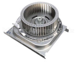 208000060 Rinnai Combustion Fan Total Assy, Ex38C