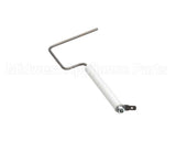 20950000 Gemini Sensor Probe Assembly