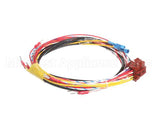 492001 Southern Pride Low Voltage Harness - Gas Roti