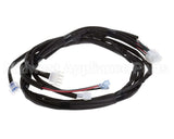 21-02608 Structural Concepts Harness 12 Cp F-Tyco C-14Gas Hg-3P L-48