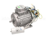 210441C Zummo Motor (110V-60Hz)