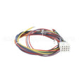 21058 Compatible Blodgett Harness, Wiring Control Comp