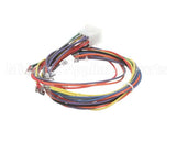 21058 Blodgett Harness, Wiring Control Comp