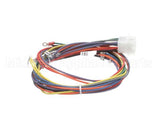 21058 Blodgett Harness, Wiring Control Comp