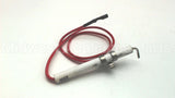 210730 Fisher Paykel Electrode 15 W/Ring Term