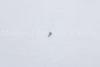 211242P Fisher Paykel Sm 10-12 X 1/2Phpan Ty F 4Ss (