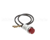 212071 Duke Bulb,125V Pilot Red
