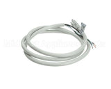 212171 Duke Cord,W/Plug 6-20 250V 1P