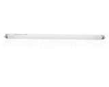 212446 Duke Lamp,Fluor Ww 15W F15T8