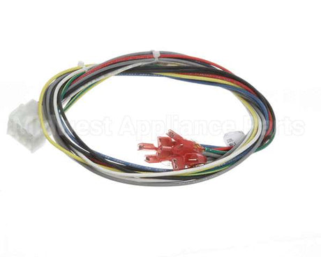 21591 Blodgett Harness,Conduit 2Sp
