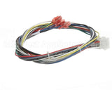 21591 Blodgett Harness,Conduit 2Sp