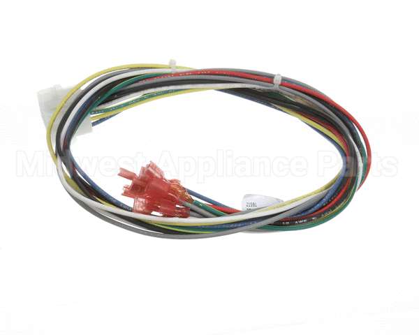 21591 Blodgett Harness,Conduit 2Sp