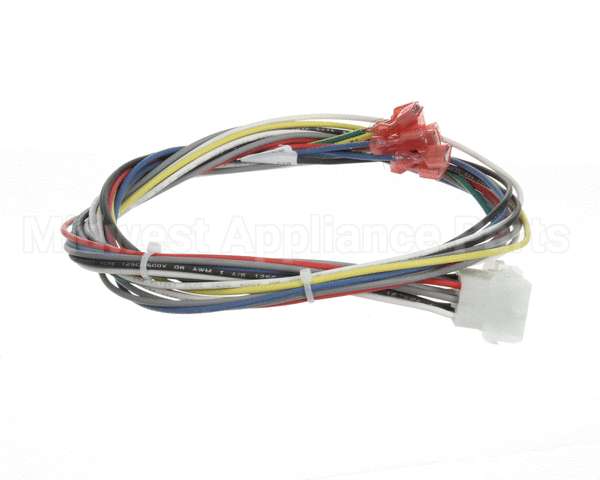 21591 Blodgett Harness,Conduit 2Sp