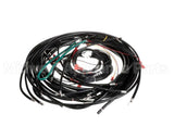 21641 Henny Penny Harness-208V Ofe/Oea341 Wire