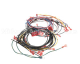 21646 Henny Penny Harn-120V Ofg/Oga34X Wire