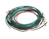 2180051 Delfield Harness,Temp Control Pan,F-A