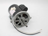 21819-002 Wayne Combustion Motor 1/2 120/230/50-60