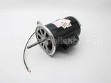 21819-002 Wayne Combustion Motor 1/2 120/230/50-60