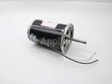 21819-002 Wayne Combustion Motor 1/2 120/230/50-60