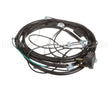 2183349 Delfield Harness,Wire,Power Cord 225/227