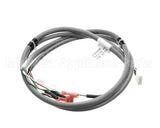 2183908 Delfield Harness,Ldd,Probe,Nitro