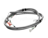 2183908 Delfield Harness,Ldd,Probe,Nitro