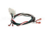 2184317 Delfield Harness,Coil,Mk7,Energy Coil