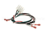 2184317 Delfield Harness,Coil,Mk7,Energy Coil