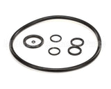 2187979 Stoelting Oring Kit; Su412