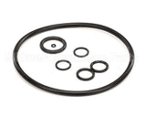2187979 Stoelting Oring Kit; Su412