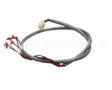 218809 Duke Harness, Wire Hdc Display/Rtd