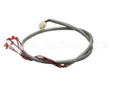 218809 Duke Harness, Wire Hdc Display/Rtd