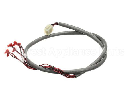 218809 Duke Harness, Wire Hdc Display/Rtd