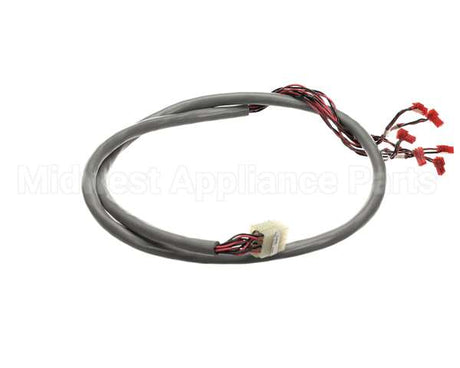 218809 Duke Harness, Wire Hdc Display/Rtd