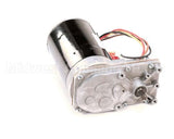 2195297 Multiplex Motor,Gear,Bison,Bic