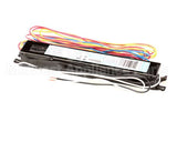 2195377 Delfield Ballast,Electronic, Program St