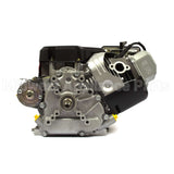 21T215-0110-G2 Briggs & Stratton Engine Packed Single Carton