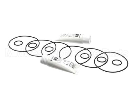 2202072 Stoelting Kit; Minor Tune Up (Os 3 Brl)