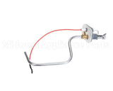 22024 Sunglo Electrode Pilot Assy