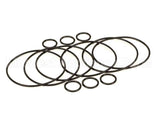 2208802 Stoelting Oem Os Quarterly Kit