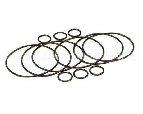 2208802 Stoelting Oem Os Quarterly Kit