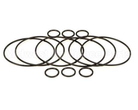 2208802 Stoelting Oem Os Quarterly Kit