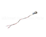 22279 Gaylord Dcv-Av Or Button W/Leads