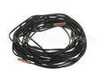 2228741 Daikin-Mcquay Thermistor Assembly