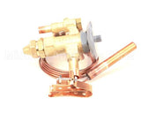 225013530 Hussmann Valve Tx Egje-1/4-C
