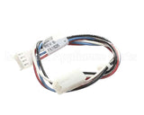 225219 Duke Harness, Timer Bar Exit, Quad