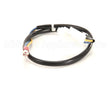 B6745502 Anets Wiring,Hi Lim 24Vac Sg