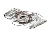 228809 Duke Element,Heating Single 700W 208V