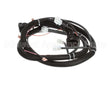 22A321 Ultrafryer Cable, Main Bank Electric Pnp