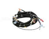 22A669 Ultrafryer Cable, Main Bank P3 Ph Basic